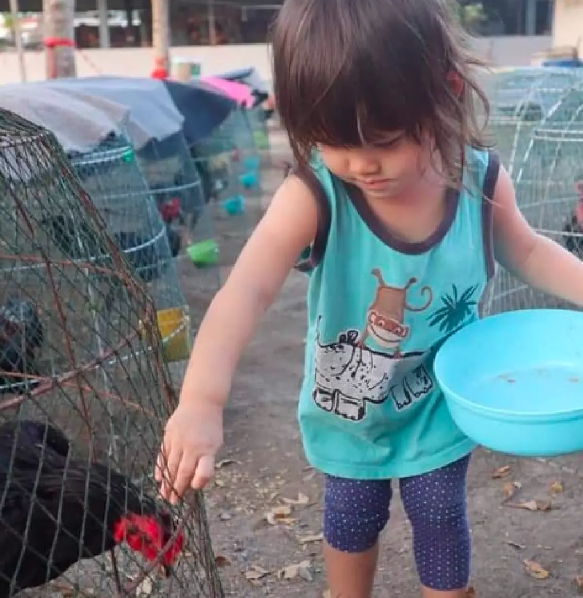 เด็กเลี้ยงไก่! "น้องมารีน” ลูกสาว “น้ำ รพีภัทร” ช่วยดูแลบ้านสวนอีกแรง