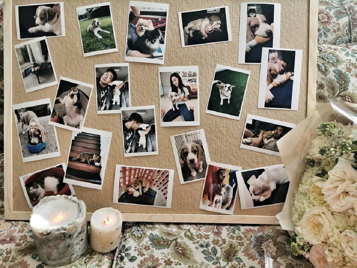 ของขวัญเรียบง่ายแต่น่ารัก! เบลล่า ทำบอร์ดรวมรูปให้ เวียร์ ในวันครบรอบ