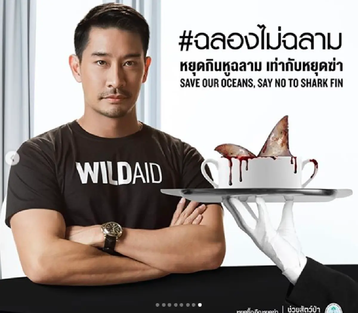 “ป้อง ณวัฒน์” ไม่พอใจพรรคร่วมรัฐบาล! จัดปาร์ตี้ชื่นมื่นโดยมีการเสิร์ฟเมนูหูฉลาม