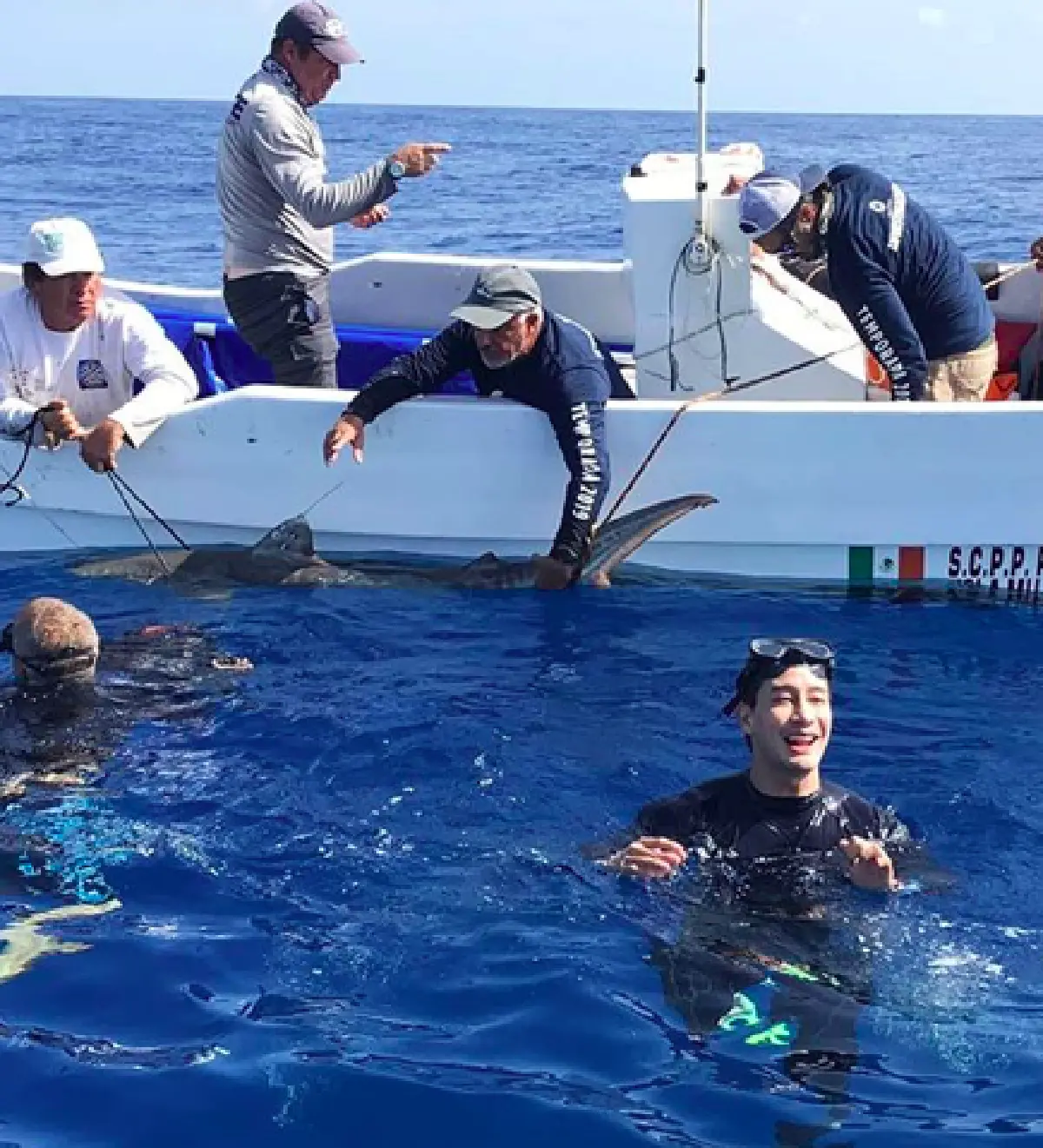 “ป้อง ณวัฒน์” ไม่พอใจพรรคร่วมรัฐบาล! จัดปาร์ตี้ชื่นมื่นโดยมีการเสิร์ฟเมนูหูฉลาม