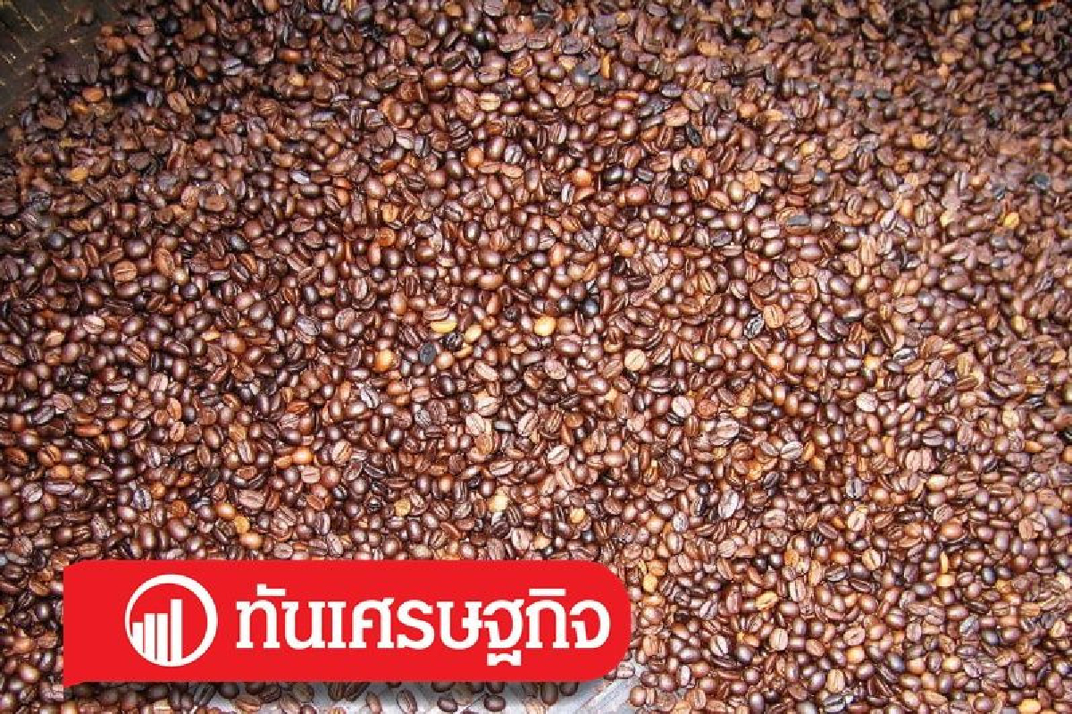 กาแฟธรรมดา...ที่ไม่ธรรมดา กาแฟธรรมดา...ที่ไม่ธรรมดา