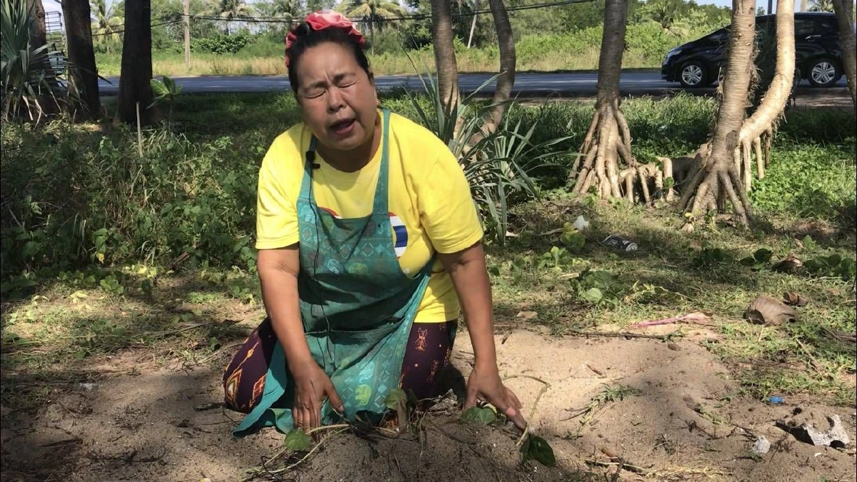 รุมสาบแช่งคนใจร้ายวางยาเบื่อฆ่าแมวตายยกครอก 5 แม่ลูกสุดอนาถ