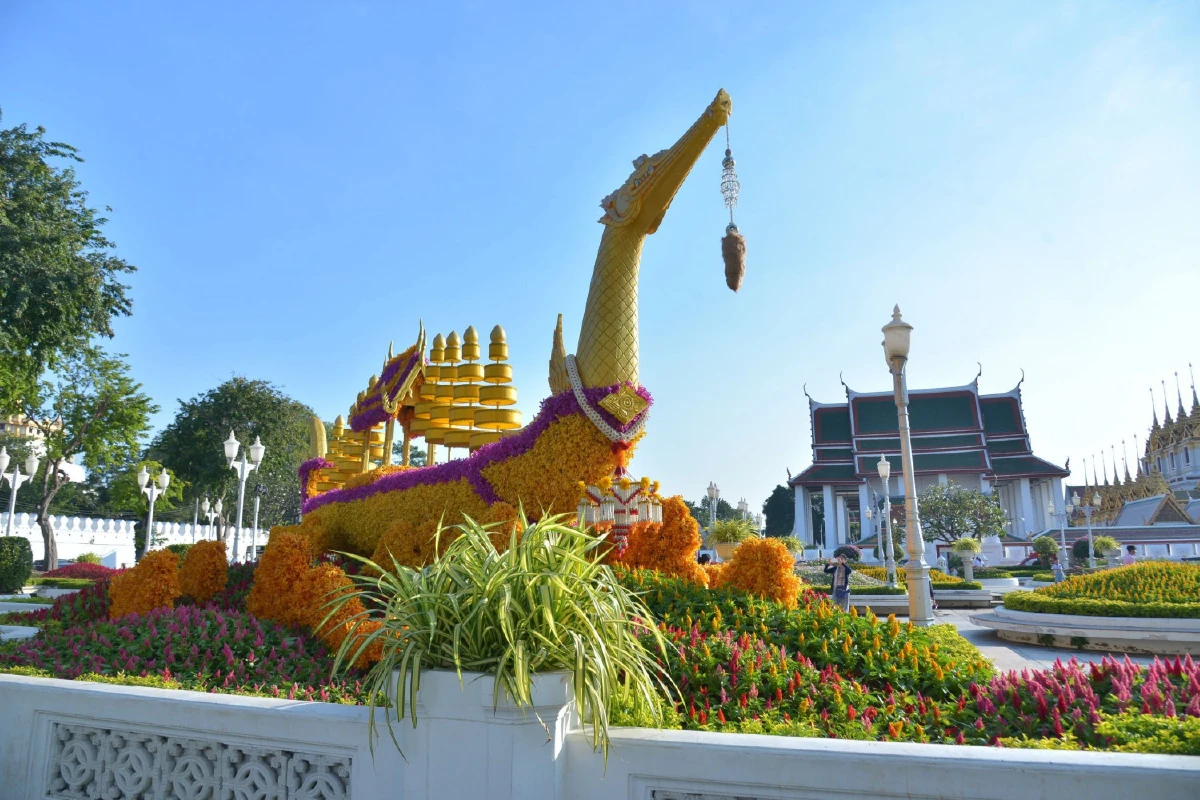 ตระการตา! พรรณไม้สีเหลืองบานสะพรั่ง 443,255 ต้น