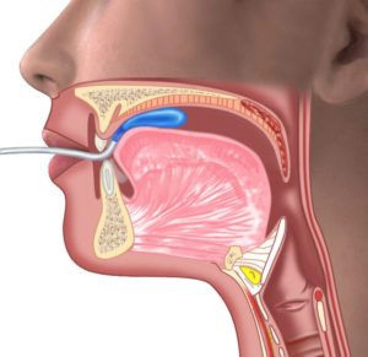 'กลืนไม่เข้า คายไม่ออก' หมอเผยทำกิจกรรมบำบัดช่วยได้