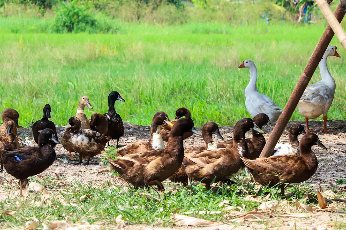 แต แพะซิ่ง จากอดีตผู้ก้าวพลาดสู่ชีวิตที่หมุนต่อได้