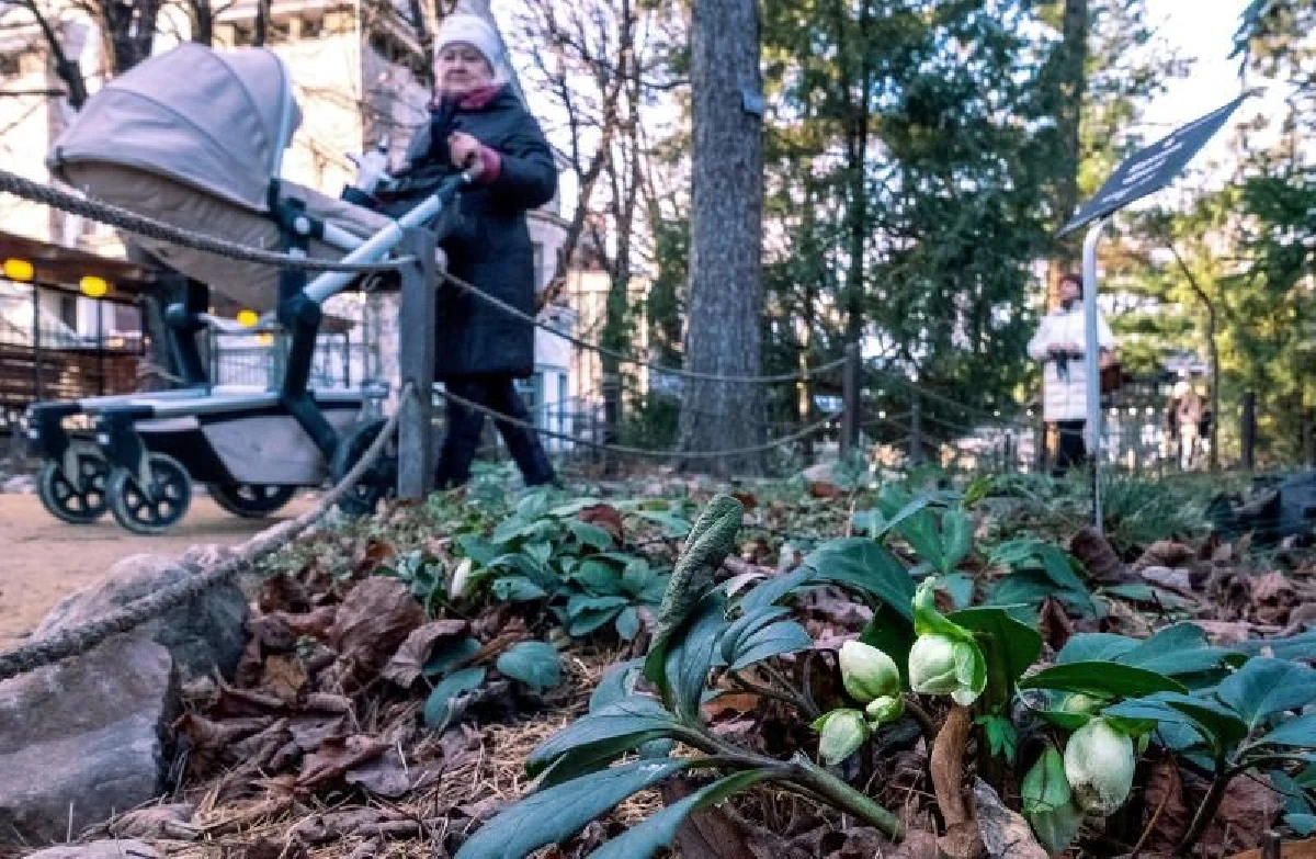 มอสโกเจออากาศ "อบอุ่น" สุดในรอบ 133 ปี