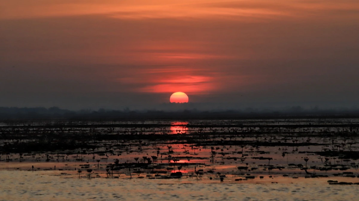 ชวนนั่งเรือชมทะเลบัวแดงบึงหนองหานความมหัศจรรย์ทางธรรมชาติ