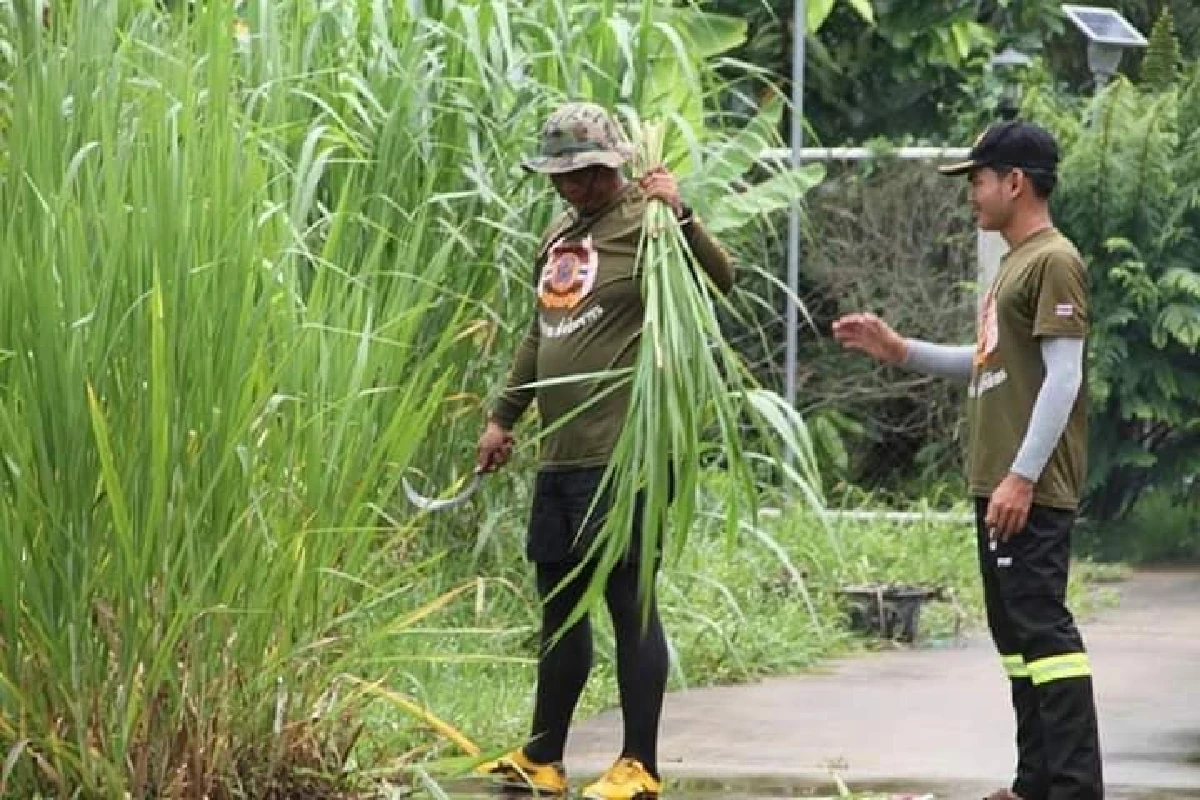 กู้ชีพเป็นชีวิต ช่วยคนเป็นจิตใจ “สุชาติ กีระพันธุ์” ชายอาสาหัวใจน่ากราบ