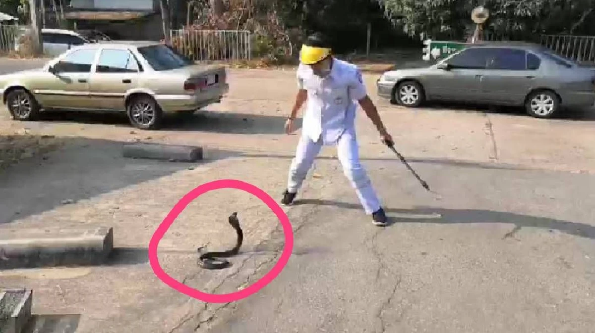 หวิดบอด!หนุ่มใหญ่วัย 47 ออกดักปลาริมแม่น้ำถูกงูเห่าพ่นพิษใส่ดวงตา