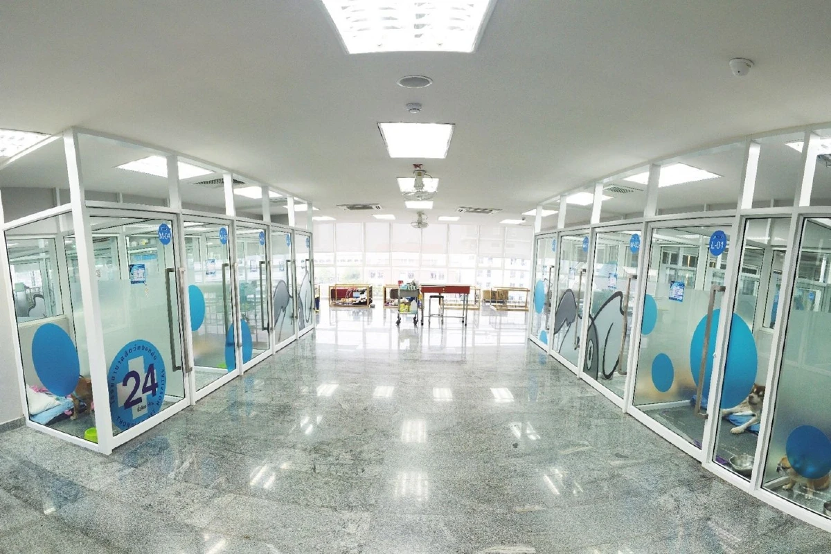 จะทำอย่างไร เมื่อต้องปล่อยให้สัตว์เลี้ยงอยู่บ้านเพียงลำพัง