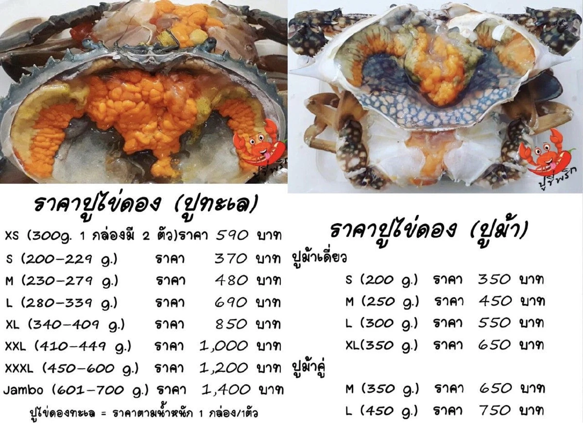 "ปูขี่พริก" แซ่บซี๊ดกับซีฟู้ดสูตรปลาร้า ปาร์ตี้ไหนๆ ก็เอาอยู่