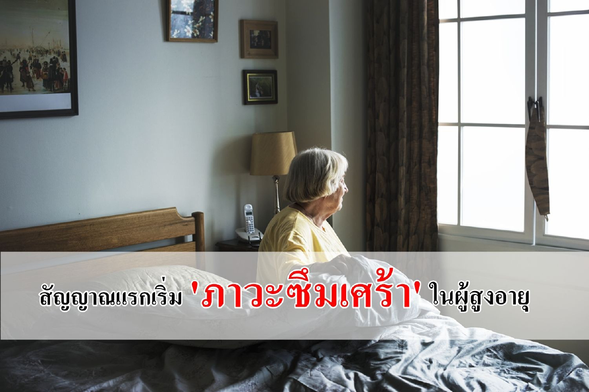 เช็ก 9 สัญญาณแรกเริ่มภาวะซึมเศร้าในผู้สูงอายุ เช็ก 9 สัญญาณแรกเริ่มภาวะซึมเศร้าในผู้สูงอายุ