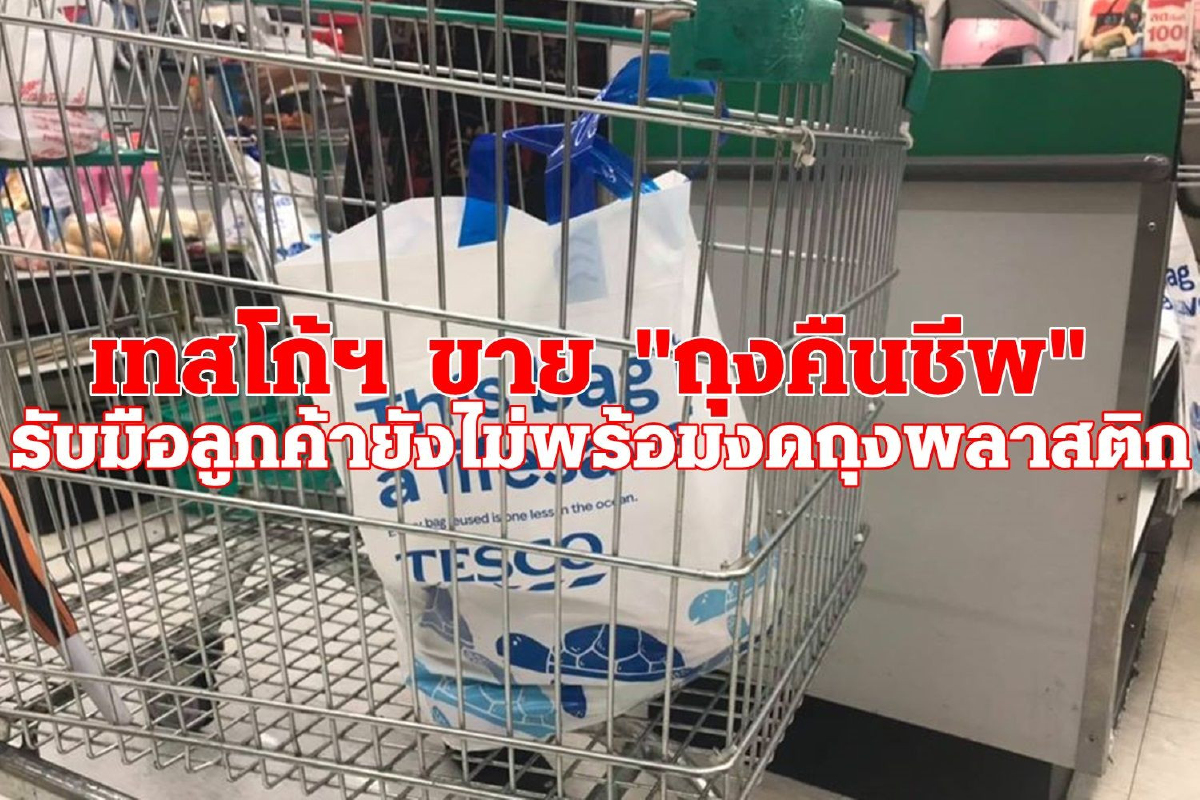 เทสโก้ฯ จำหน่าย "ถุงคืนชีพ" ใช้ซ้ำหลายครั้ง แก้ปัญหาลูกค้ายังไม่พร้อมงดรับถุงพลาสติก เทสโก้ฯ จำหน่าย "ถุงคืนชีพ" ใช้ซ้ำหลายครั้ง แก้ปัญหาลูกค้ายังไม่พร้อมงดรับถุงพลาสติก