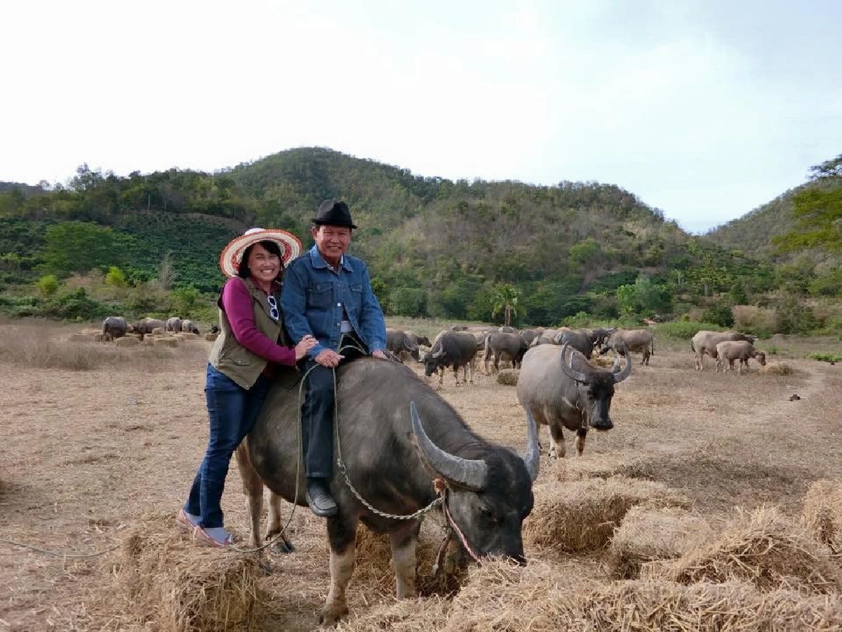 ‘ไถ่ชีวิตควาย’ จนกลายเป็นที่ท่องเที่ยว "ลุงนคร-ป้าวันเพ็ญ"
