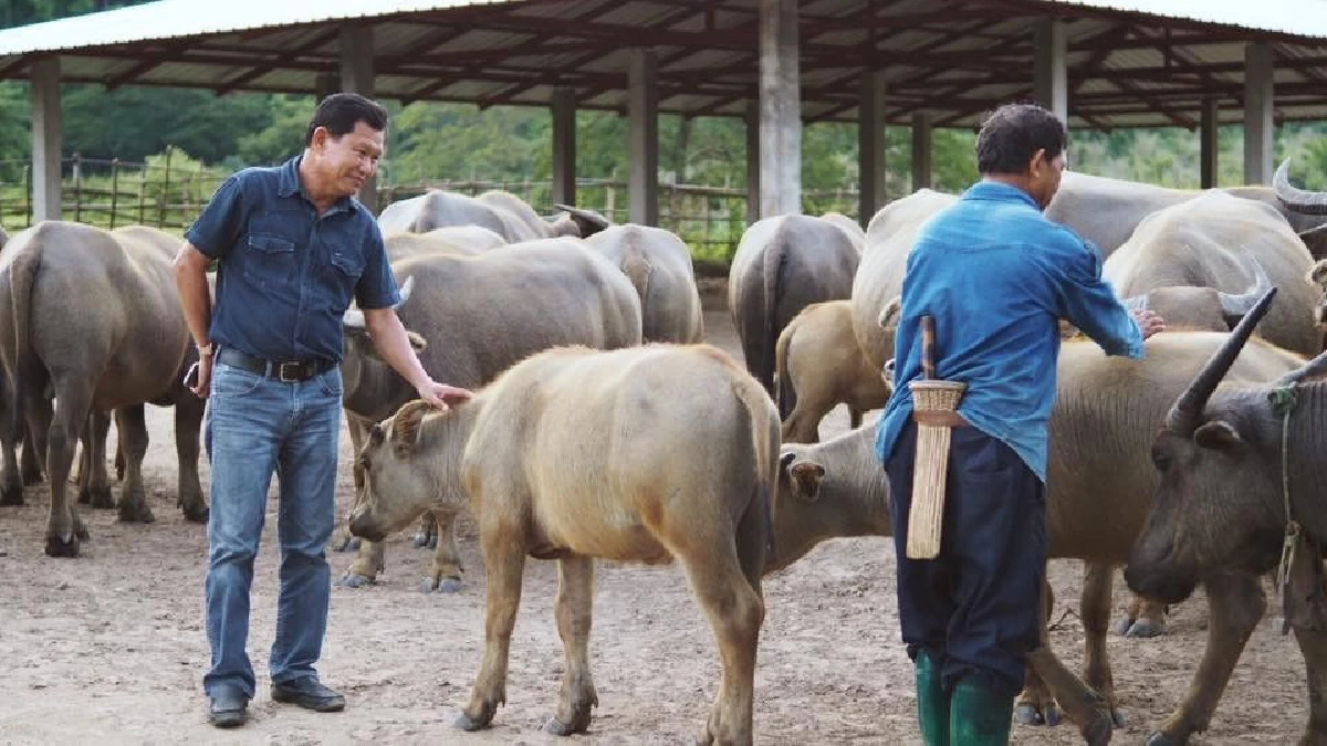 ‘ไถ่ชีวิตควาย’ จนกลายเป็นที่ท่องเที่ยว "ลุงนคร-ป้าวันเพ็ญ"