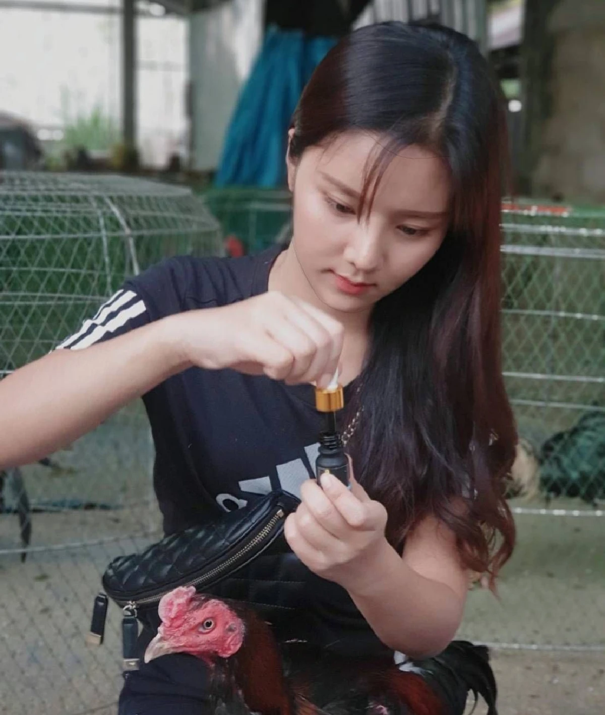 สาวพะเยาหันหลังให้งานประจำหันมาเลี้ยงไก่ชนสร้างรายได้งาม