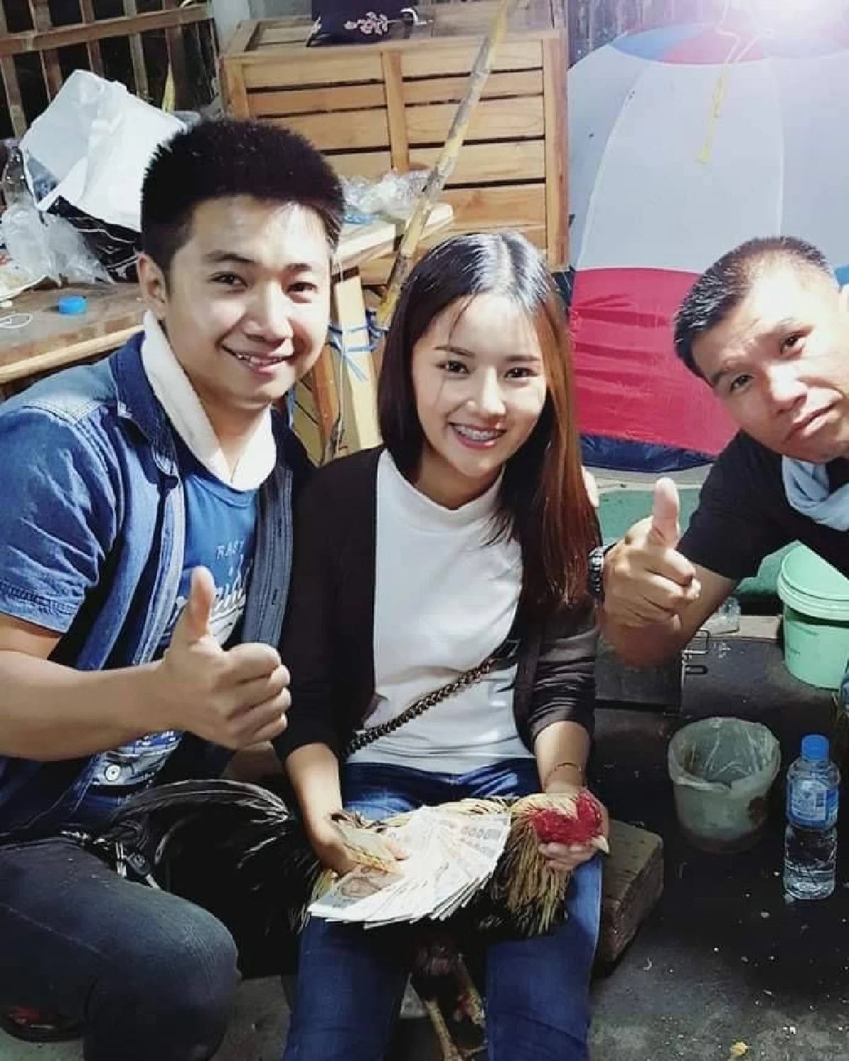 สาวพะเยาหันหลังให้งานประจำหันมาเลี้ยงไก่ชนสร้างรายได้งาม