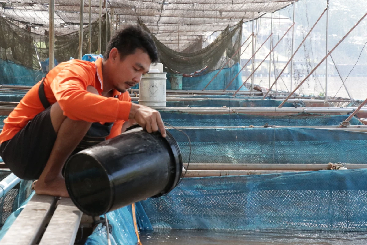 2เขื่อนปล่อยน้ำ ส่งผลดีต่อผู้ประกอบการเลี้ยงปลาในกระชัง