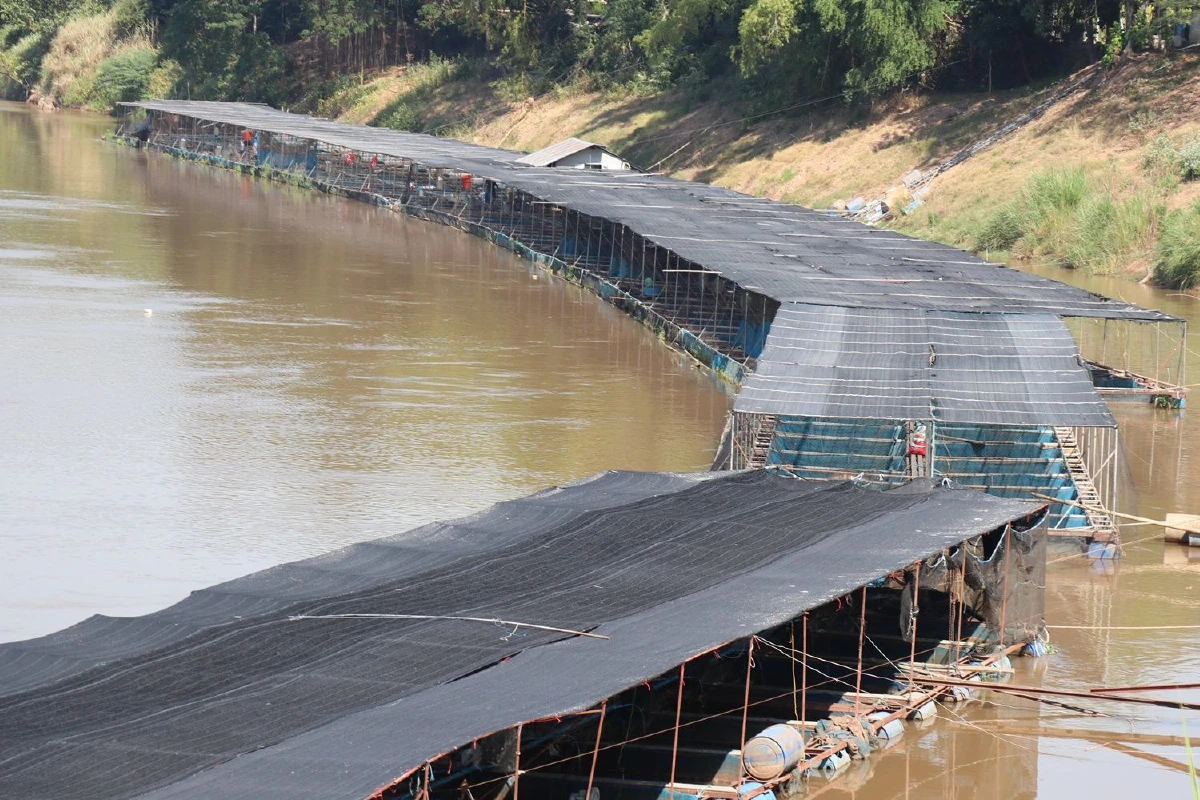 2เขื่อนปล่อยน้ำ ส่งผลดีต่อผู้ประกอบการเลี้ยงปลาในกระชัง