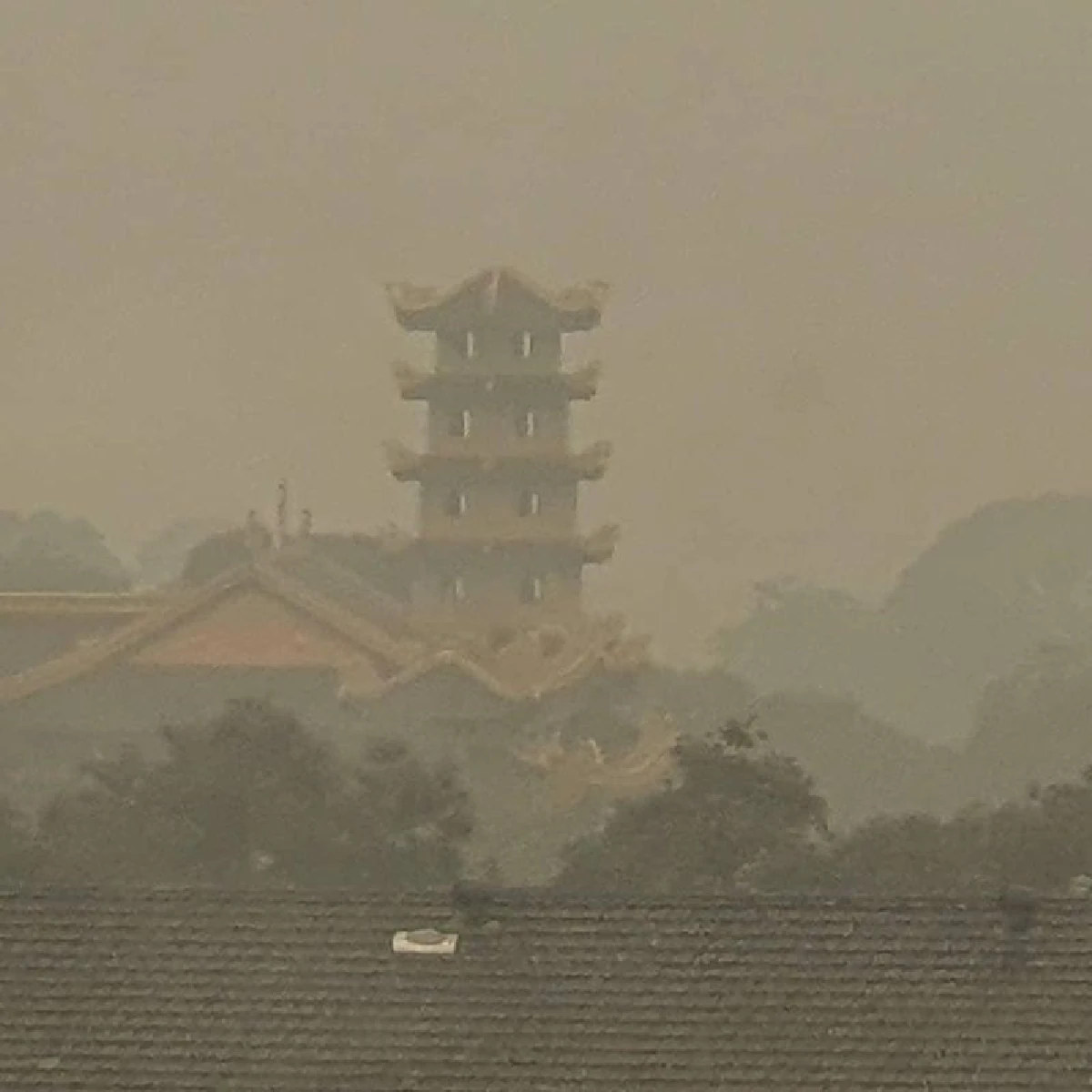 พระเจสัน ยัง สวมหน้ากากกันมลพิษออกบิณฑบาต หลังไฟไหม้ป่าออสเตรเลีย