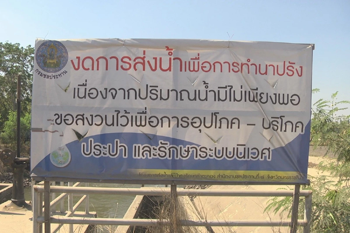 โคราชแล้งสุดในรอบ10ปี ผู้ว่าฯขอสงวนสิทธิ์ใช้น้ำห้ามลักสูบทำการเกษตร