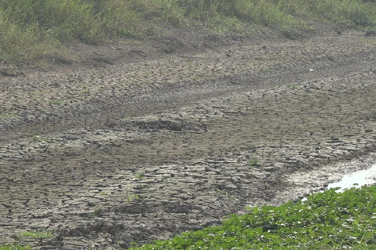 นาล่มเพราะภัยแล้ง!เกษตรกรจี้ภาครัฐกำหนดมาตรการช่วยเหลือ