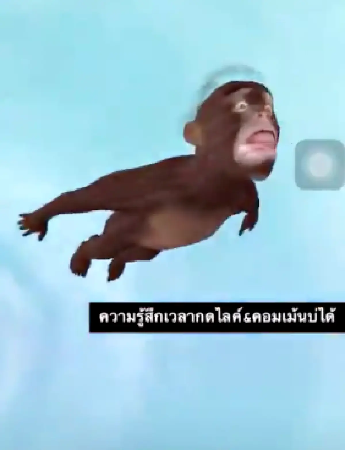 "ณเดชน์” เซ็งหนัก! อดกดไลค์-คอมเมนต์ “ญาญ่า” หลังถูกไอจีบล็อคเพราะนึกว่าบอท