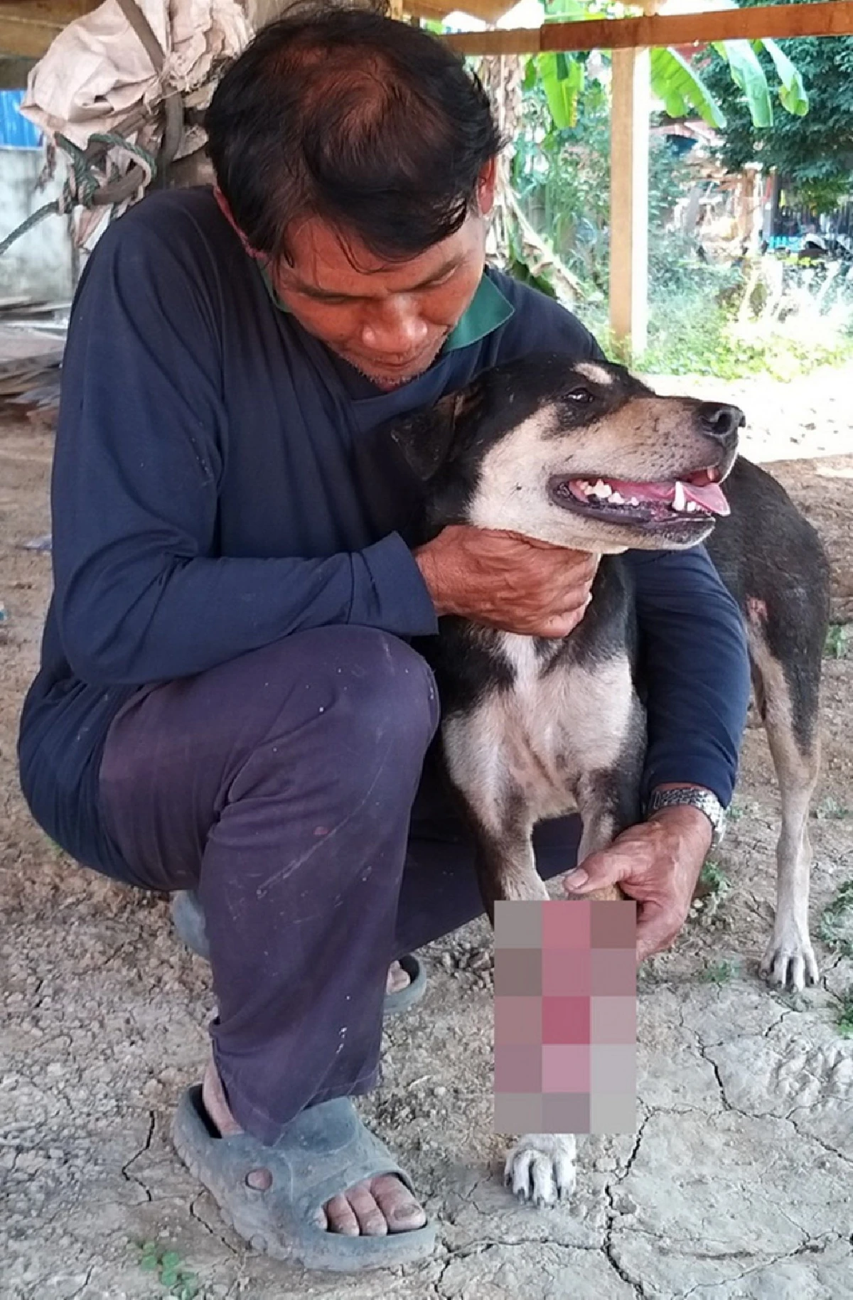 ตร.เร่งล่าคนใจบาปทารุณกรรมสุนัขอย่างโหดเหี้ยมผิดมนุษย์