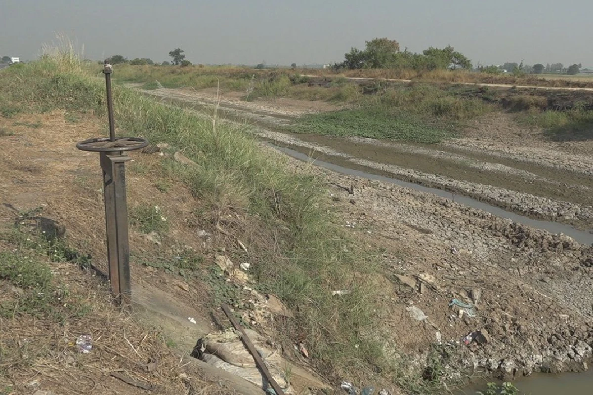 นาล่มเพราะภัยแล้ง!เกษตรกรจี้ภาครัฐกำหนดมาตรการช่วยเหลือ