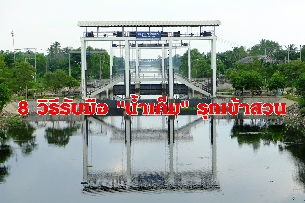 แนะแผนตั้งรับ "น้ำเค็มรุก" เข้าสวนในปีนี้ เร็วกว่าช่วงปกติ แนะแผนตั้งรับ "น้ำเค็มรุก" เข้าสวนในปีนี้ เร็วกว่าช่วงปกติ