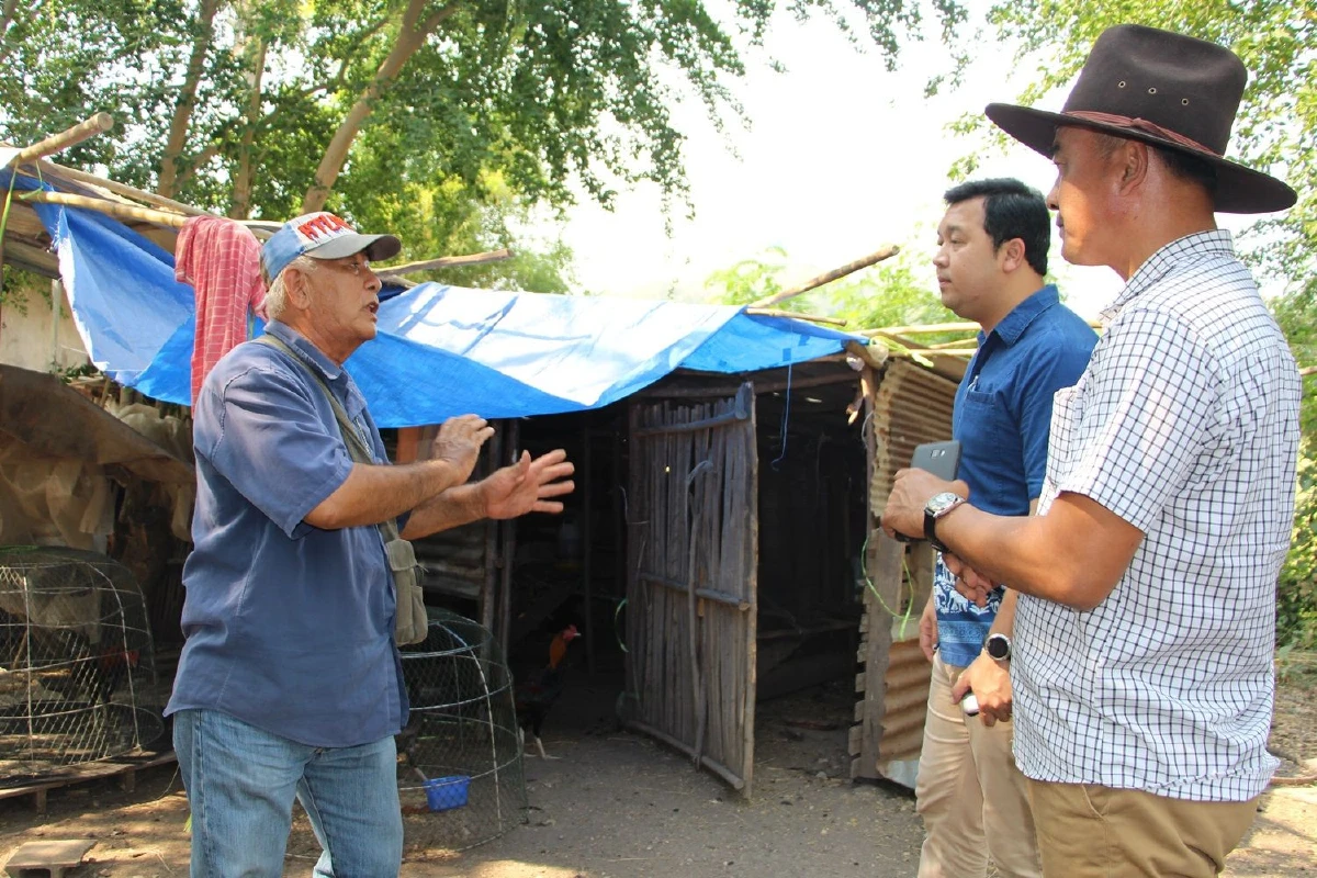 ลุงโวยหมามากัดไก่ชนสายพันธุ์เมียนมา3รอบเสียหายหลายแสน