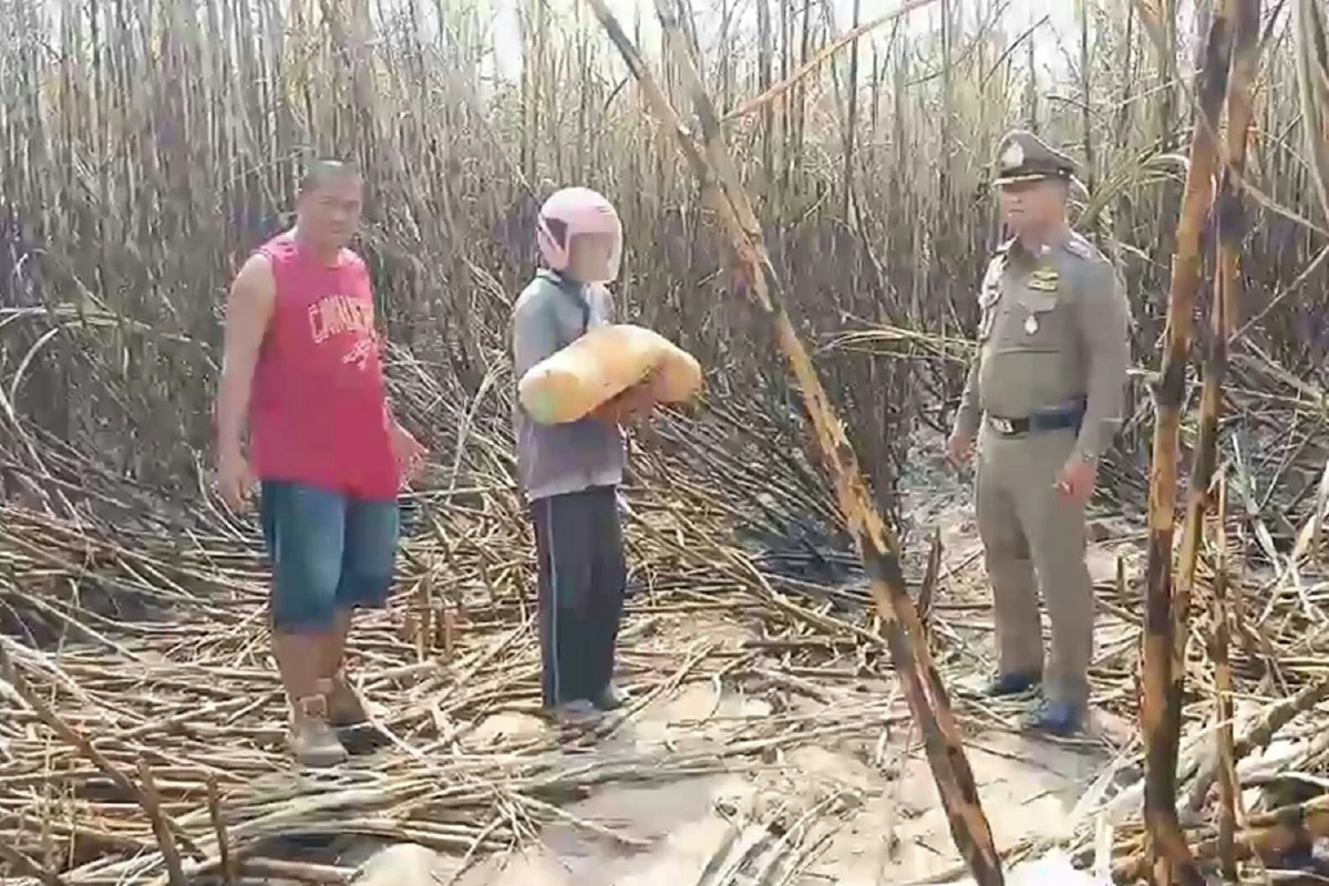 ฆ่าโหดหญิงหมกป่าอ้อยที่แท้คนลงมือเป็นสามีผู้ตาย