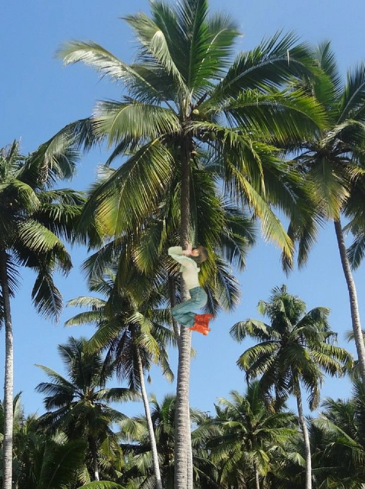 ชาว Blink พากันตัดต่อภาพสาว "ลิซ่า BLACKPINK” อยู่ทุกที่ในอิริยาบถต่างๆ