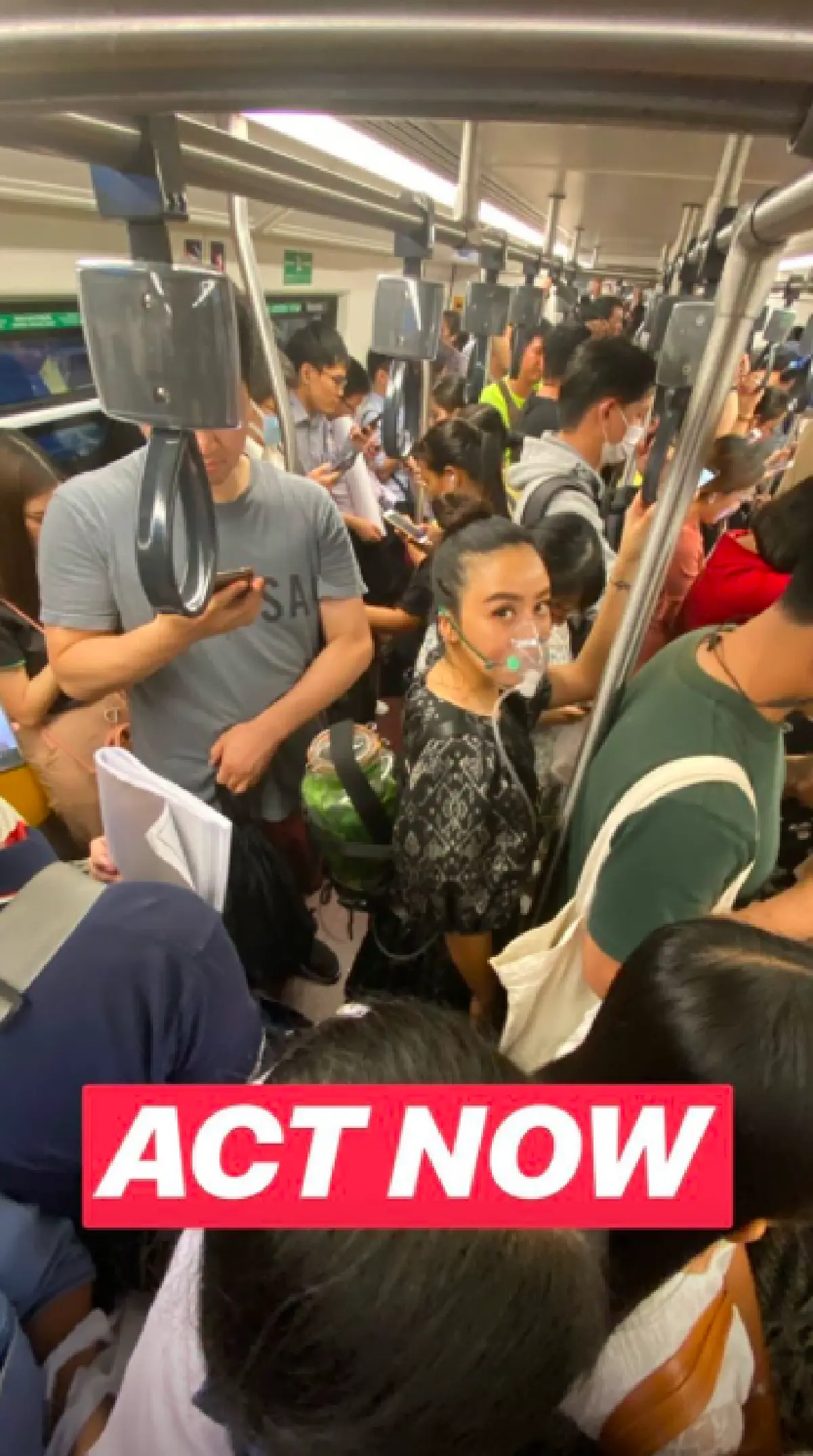 "แพรี่พาย” ฉลองวันเกิดด้วยการสวมหน้ากากกันฝุ่น PM2.5 เดินตระเวนรอบกรุง