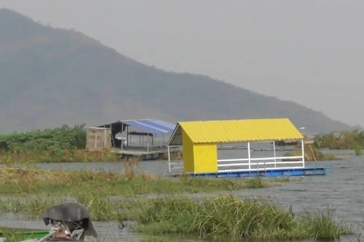 ภัยแล้งคุกคามหนัก ชาวนานครสวรรค์สูบน้ำก้นคลองเลี้ยงต้นข้าว