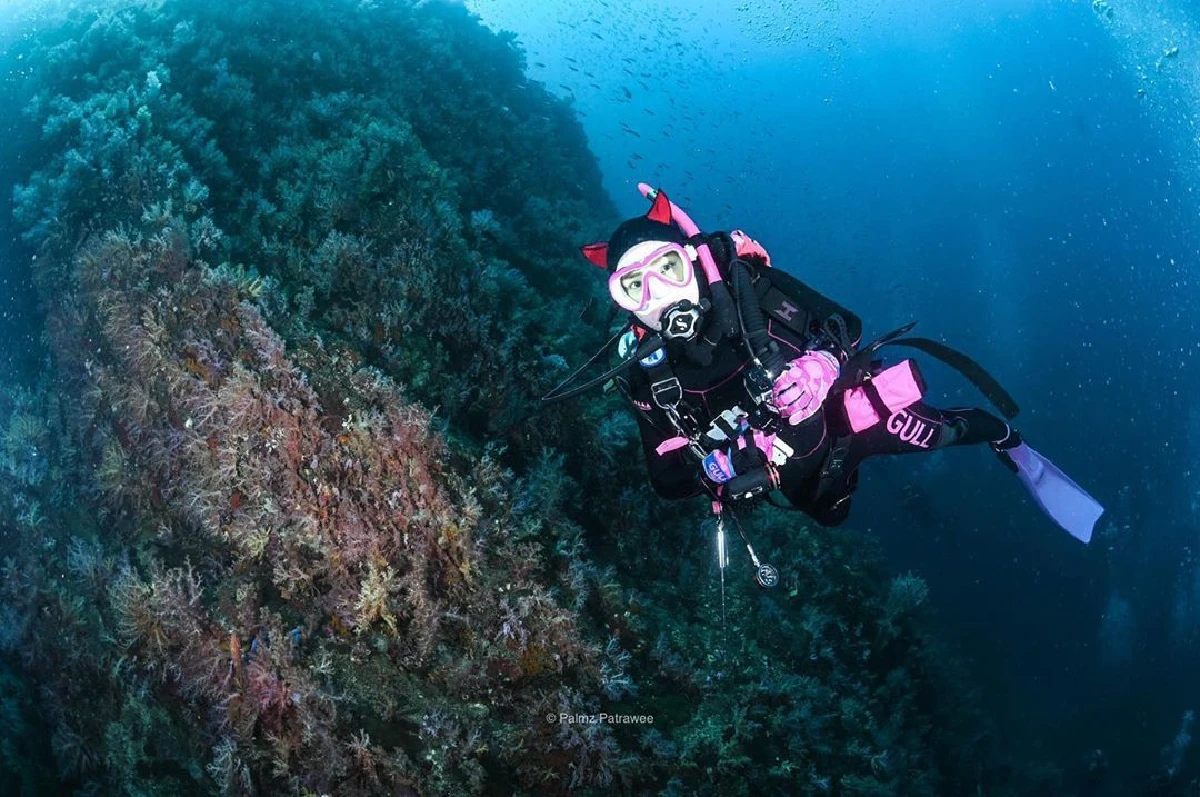 บอลลูน พินทุ์สุดา อวดหุ่นเซ็กซี่ในชุดว่ายน้ำสุดแซ่บ สมกับเป็นเน็ตไอดอลยุคบุกเบิก