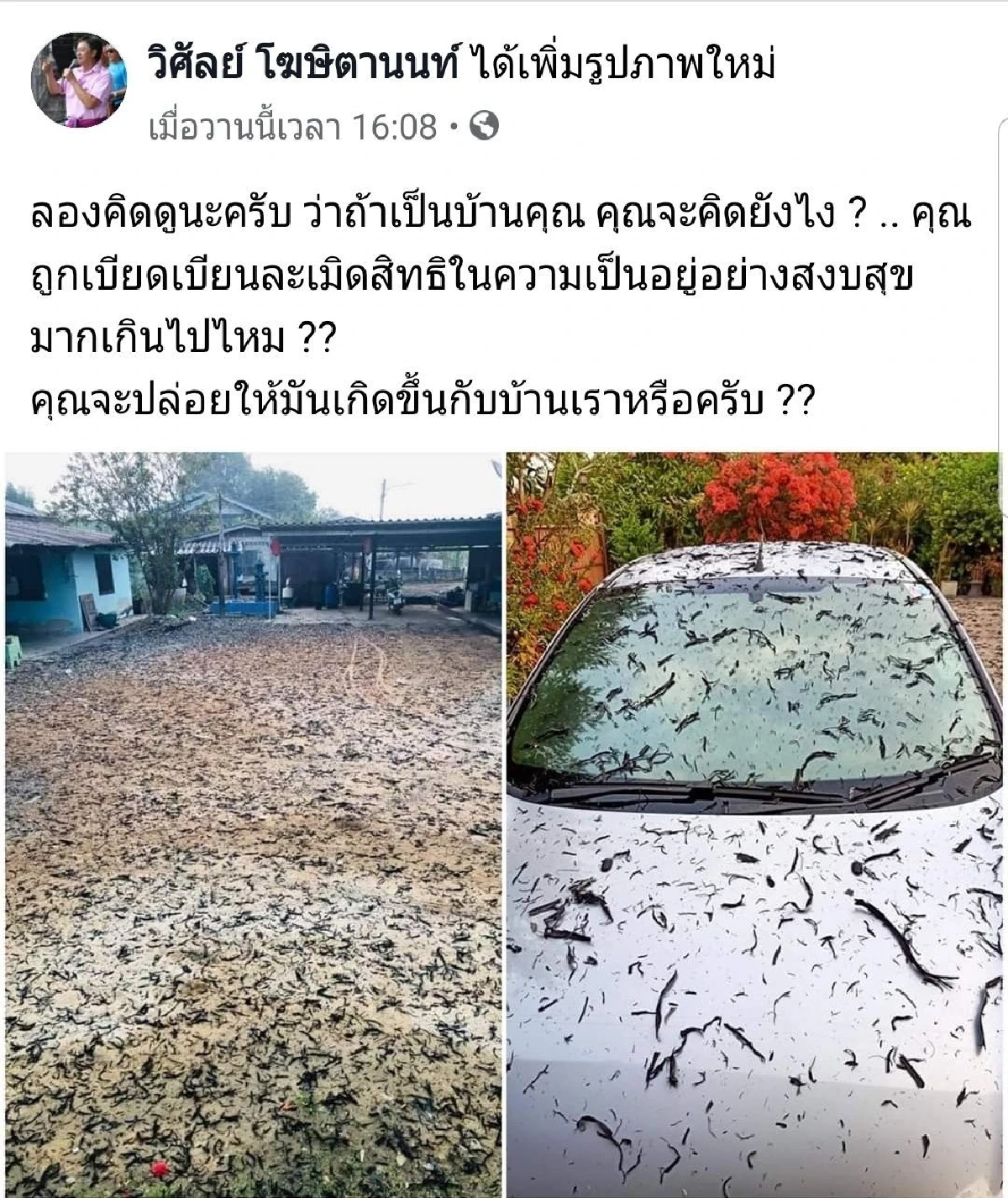 โวยแหลก!โลกโซเชียลเมืองมะขามหวานเดือดปุดๆจี้จัดการหิมะดำ