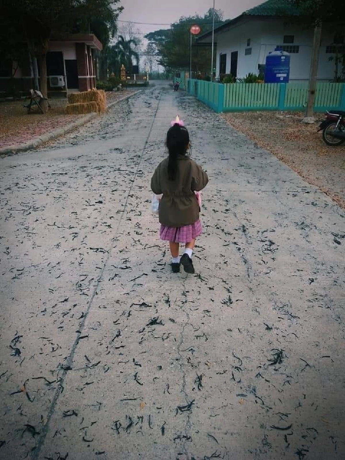 โวยแหลก!โลกโซเชียลเมืองมะขามหวานเดือดปุดๆจี้จัดการหิมะดำ