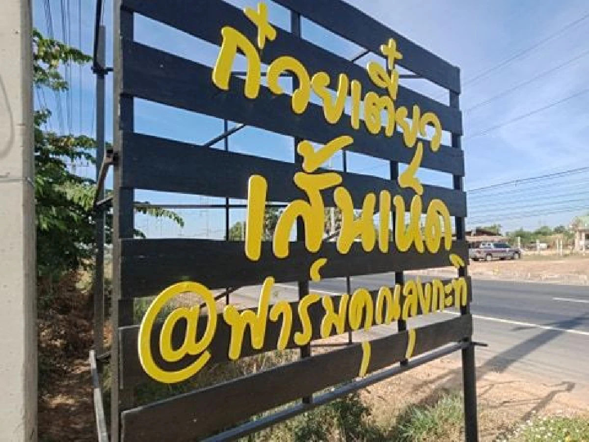 ทิ้งวิศวะมาเป็นเศรษฐีเห็ด “สายฝน-ฉัตรชัย”  คู่รักผู้ปั้น ‘เส้นเห็ด’ สุขภาพเจ้าแรก