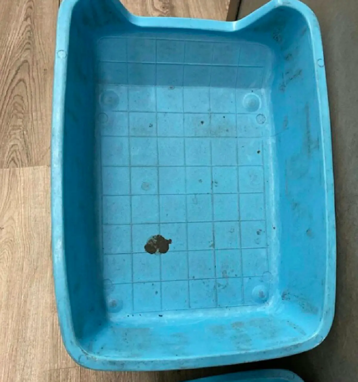 "เอิ๊ก พรหมพร" เจอถาดใส่รองเท้าสนามบินไม่สะอาด บอกรองเท้าตัวเองยังสะอาดกว่าหลายพันเท่า!