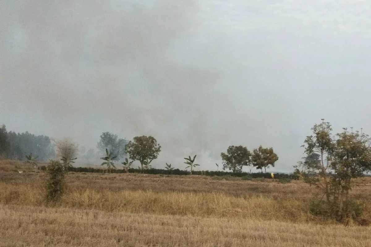 ไม่สนคำเตือน!ชาวนาเผาตอซังข้าวส่งผลกระทบสิ่งแวดล้อม