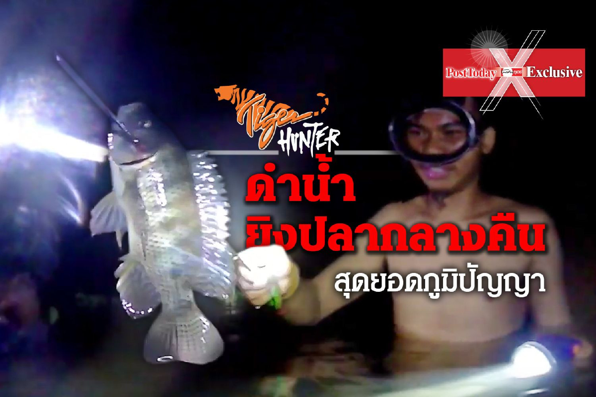 ระทึก! ดำน้ำยิงปลากลางคืน สุดยอดภูมิปัญญากะเหรี่ยง ระทึก! ดำน้ำยิงปลากลางคืน สุดยอดภูมิปัญญากะเหรี่ยง