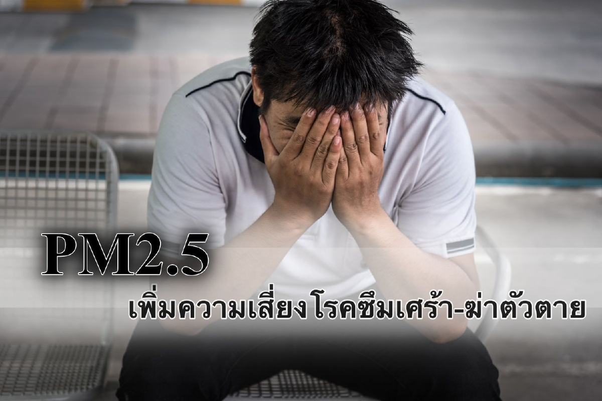 ยิ่งรู้จักยิ่งน่ากลัว PM2.5 เพิ่มความเสี่ยงโรคซึมเศร้า-ฆ่าตัวตาย ยิ่งรู้จักยิ่งน่ากลัว PM2.5 เพิ่มความเสี่ยงโรคซึมเศร้า-ฆ่าตัวตาย