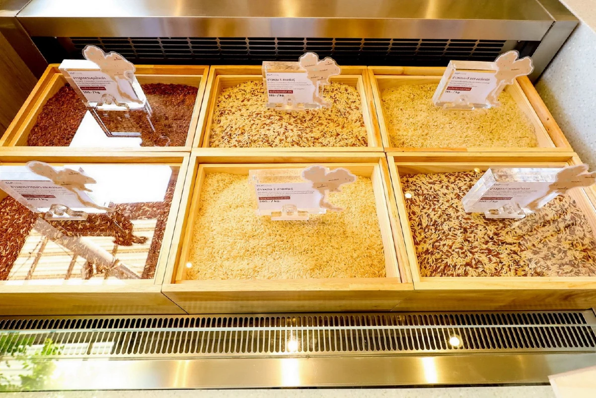 เช็กอินไรซ์บาร์ที่แรกของไทย @สีสด บาย บานาน่าลีฟ