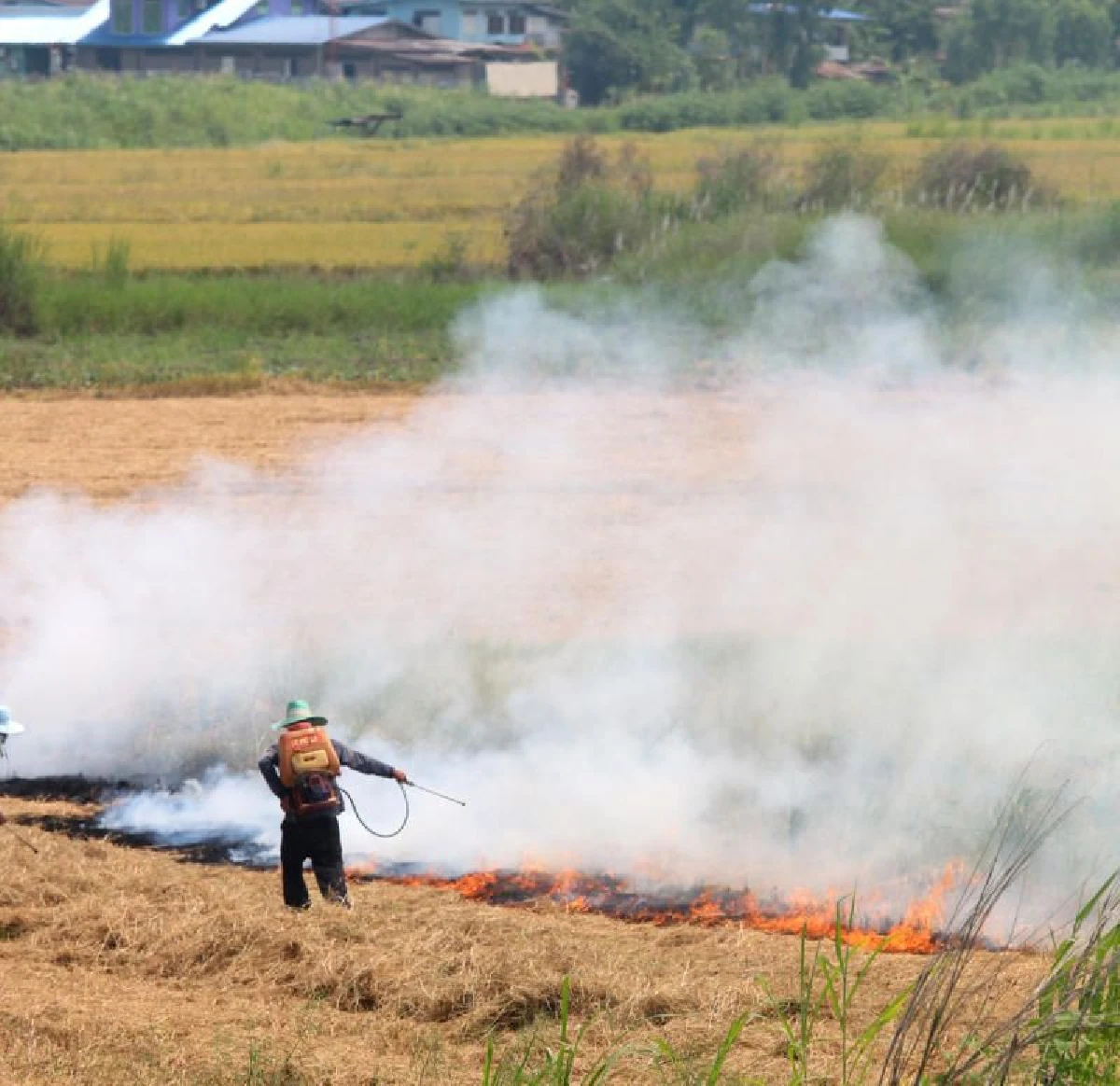 ความยากเย็นของ “การบังคับใช้กฎหมาย”แก้ปัญหาฝุ่นPM2.5