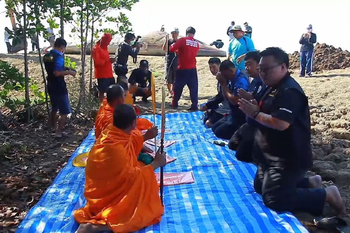 ชาวบ้านนิมนต์พระสวดบังสุกุลซากปลาวาฬบรูด้า สัตวแพทย์ระบุสาเหตุตายกระแทกของแข็ง ชาวบ้านนิมนต์พระสวดบังสุกุลซากปลาวาฬบรูด้า สัตวแพทย์ระบุสาเหตุตายกระแทกของแข็ง