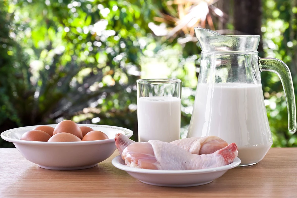 7 ตัวช่วยกินเพิ่มระบบเผาผลาญ อาหารของคนฉลาดเลือก