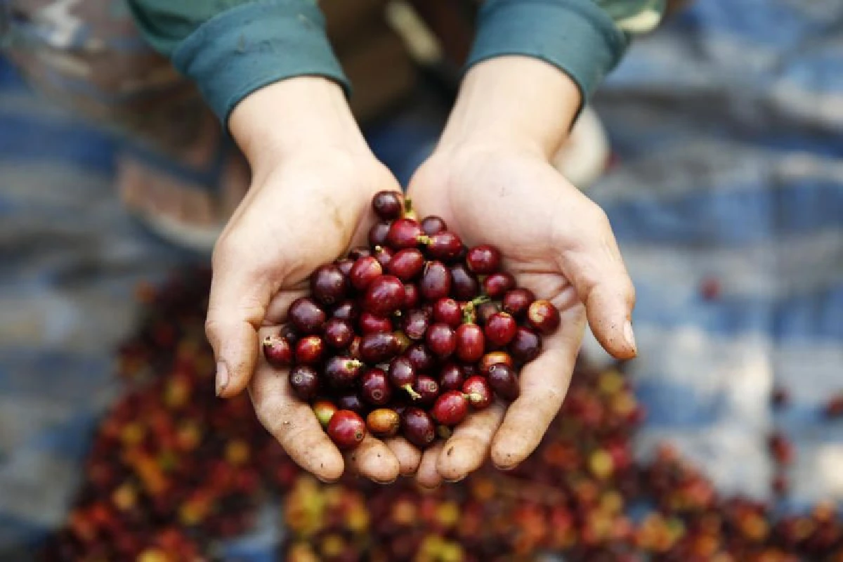 7 ตัวช่วยกินเพิ่มระบบเผาผลาญ อาหารของคนฉลาดเลือก