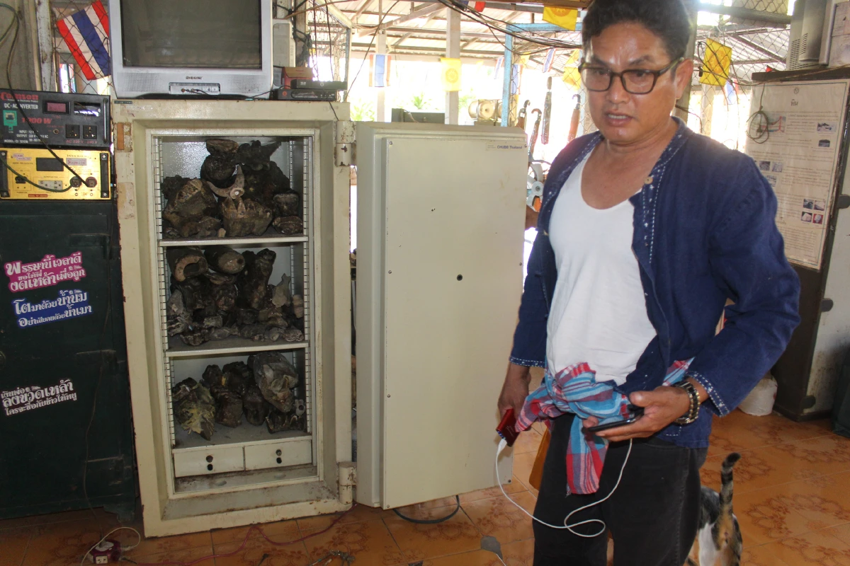 ตะลึง !พบพระดังโคราชเก็บซากช้างโบราณอายุ 16 ล้านปีในตู้เซฟ
