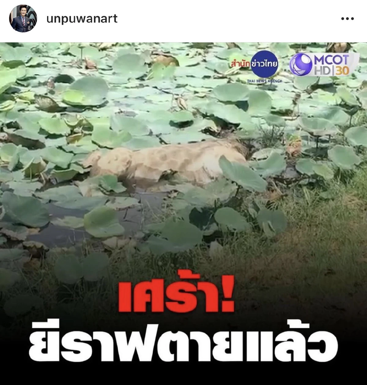 ห่วยจังครับผม! อั๋น ภูวนาท ฉะการบริหารจัดการของไทย ทำยีราฟตัวหนึ่งต้องตาย